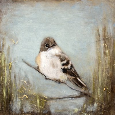  tekijältä Claire Lerner