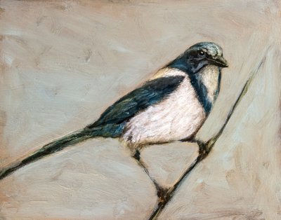  tekijältä Claire Lerner