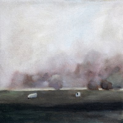 Lampaita hiljaisella niityllä tekijältä Claire Whitehead