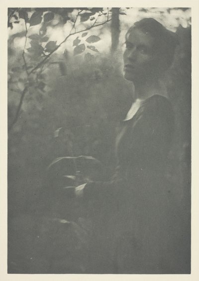 Edge of Woods tekijältä Clarence H. White