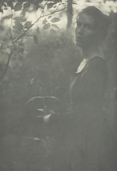 Edge of Woods, c. 1899. tekijältä Clarence H White