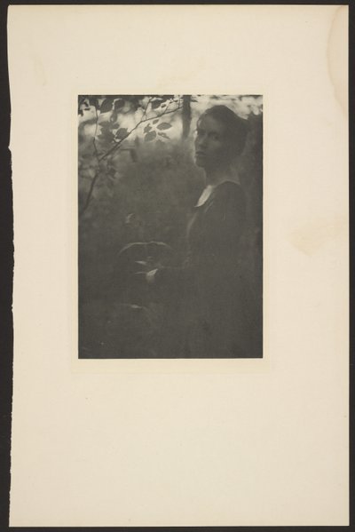 [Edge of the Woods -- Ilta] tekijältä Clarence H. White