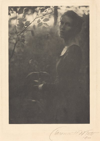 Metsänreuna, ilta,1900 (kuva) tekijältä Clarence Henry White