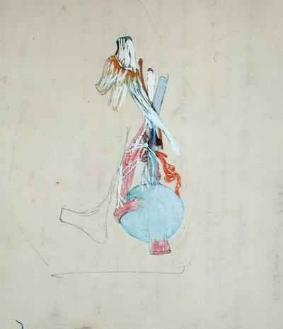 Hermosto kissan päässä, 25. toukokuuta 1842 (lyijykynä ja akvarelli paperille). tekijältä Claude Bernard