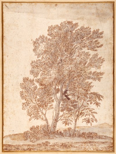 Kolme puuta (kynä ja ruskea muste, harmaa tussi paperille) tekijältä Claude Lorrain