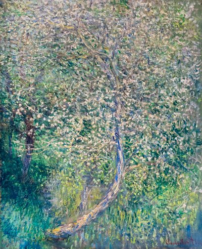 Omenapuut kukkivat veden äärellä tekijältä Claude Monet