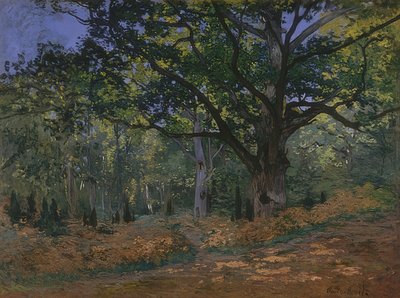Bodmer-tammi Fontainebleaun metsässä. 1865 tekijältä Claude Monet