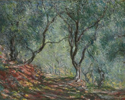 Oliivitarha Morenon puutarhassa, 1884 tekijältä Claude Monet
