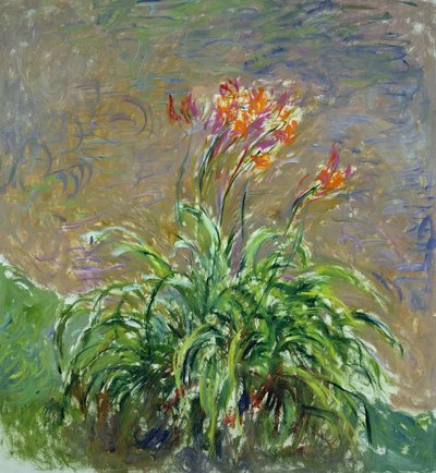 Hemerocallis, 1914-17 tekijältä Claude Monet
