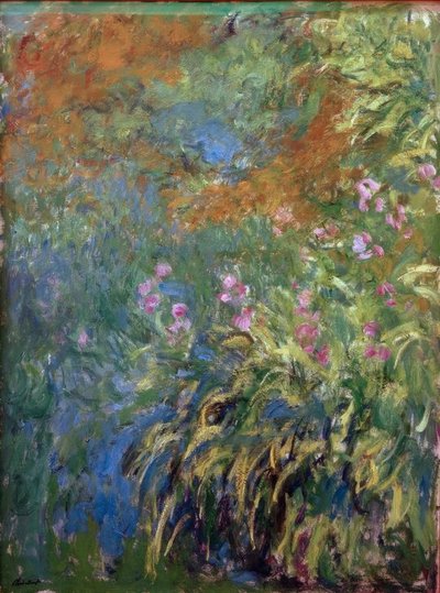 Iiris tekijältä Claude Monet