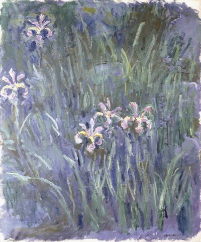 Iris, n. 1914-1917 tekijältä Claude Monet