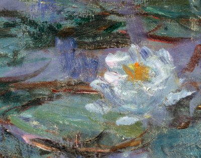 Siniset lumpeet. Yksityiskohta lumpeesta. Claude Monet