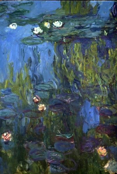 Nympheas, 1914-17 tekijältä Claude Monet