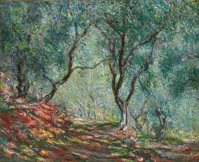 Oliivipuut Morenon puutarhassa; Oliivipuuta Morenon puutarhassa, 1884 tekijältä Claude Monet