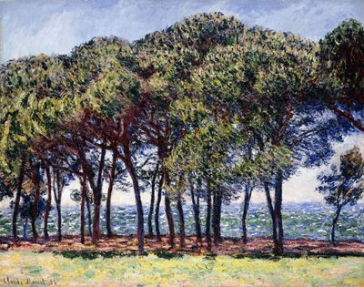 Pines, Cap d"Antibes, 1888 tekijältä Claude Monet