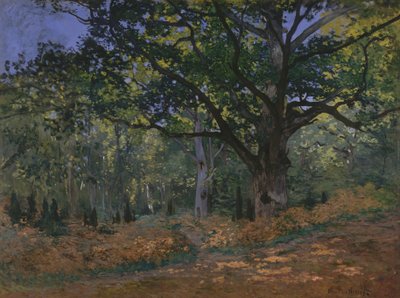 Bodmer Oak, Fontainebleaun metsä tekijältä Claude Monet