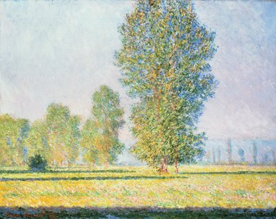 Limetzin niitty tekijältä Claude Monet