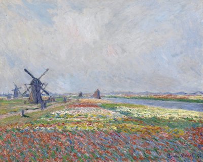 Tulppaanipellot lähellä Haagia par Monet, Claude (1840-1926). Öljy kankaalle, koko: 66x81,5 tekijältä Claude Monet