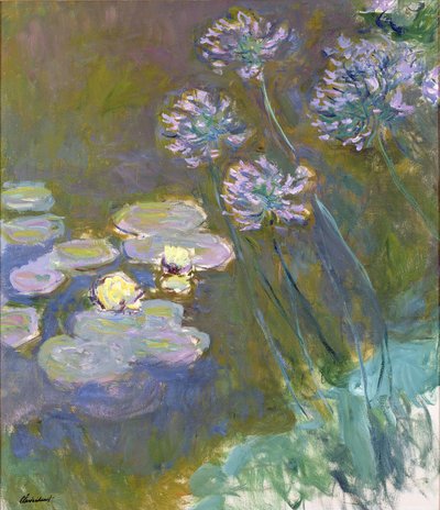 Vesililjat ja Agapanthus tekijältä Claude Monet