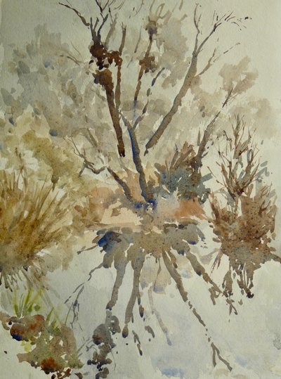 Lampaanlihan koipi, Eton, 2010 (akvarelli) tekijältä Clive Wilson