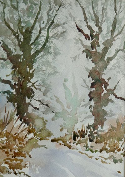 Tammet - huurteinen sumuinen aamu tekijältä Clive Wilson