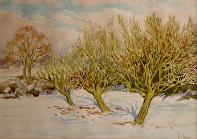 Hedelmätarha, tammikuun aurinko, 2000 (akvarelli) tekijältä Clive Wilson