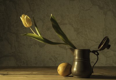 Keltainen tulppaanin asetelma tekijältä Codruta Georgescu
