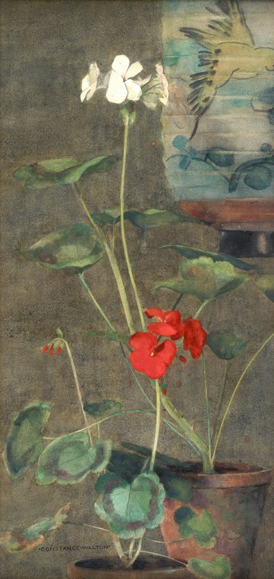 Geraniums ja japanilainen lyhty (akvarelli paperille) tekijältä Constance Walton