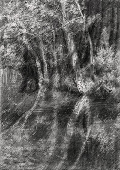  tekijältä Corné Akkers