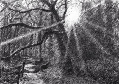  tekijältä Corné Akkers