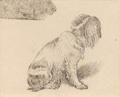 Istuva koira, 1777. tekijältä Cornelis Brouwer