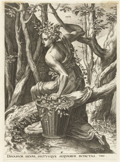 Dryas (otsikko esineessä) Goddess and Nymphs (sarjan nimi) tekijältä Cornelis Cort