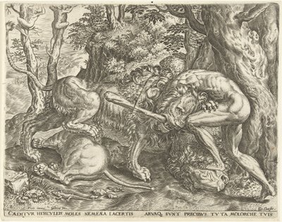 Herkules kuristaa Nemean leijonan Labors of Hercules (sarjan nimi) tekijältä Cornelis Cort