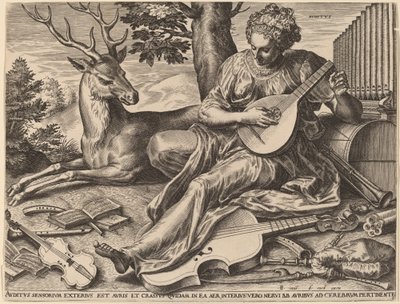 Kuulo tekijältä Cornelis Cort after Frans Floris I
