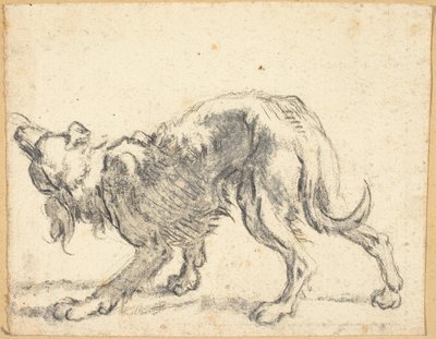 Koira tekijältä Cornelis Saftleven