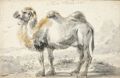 Kameli tekijältä Cornelis Saftleven