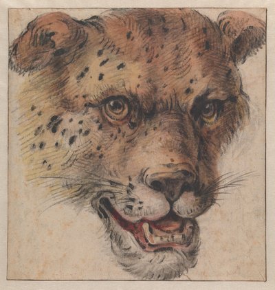  tekijältä Cornelis Saftleven
