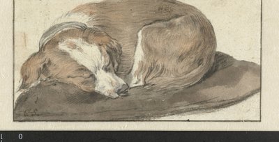 Nukkuva Koira tekijältä Cornelis Saftleven