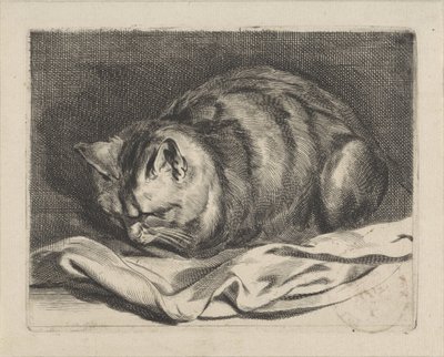 pieni kissa tekijältä Cornelis Visscher (II)