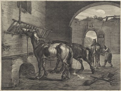 Vakaa tekijältä Cornelis Visscher (II)
