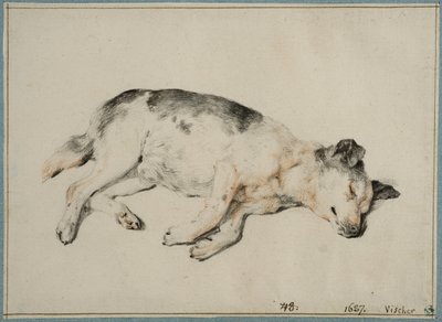  tekijältä Cornelis Visscher