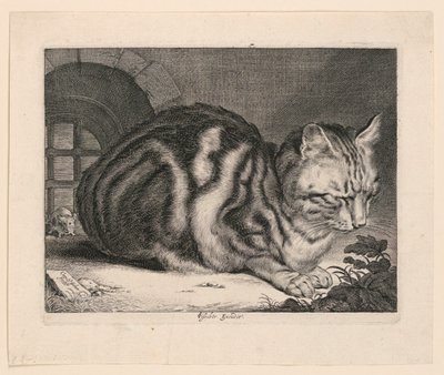 Suuri Kissa tekijältä Cornelis Visscher