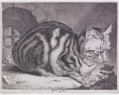 Suuri Kissa tekijältä Cornelis de Visscher