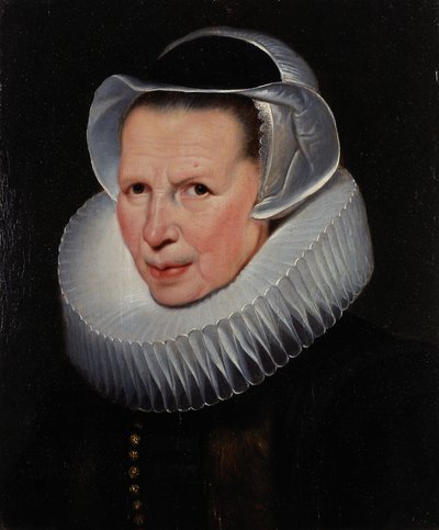  tekijältä Cornelis de Vos