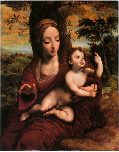 Madonna ja lapsi maisemassa tekijältä Cornelis van Cleve