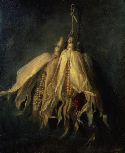 Kolme kynnestä roikkuvaa maissintähkä (öljy kankaalle) tekijältä Cornelis van Spaendonck