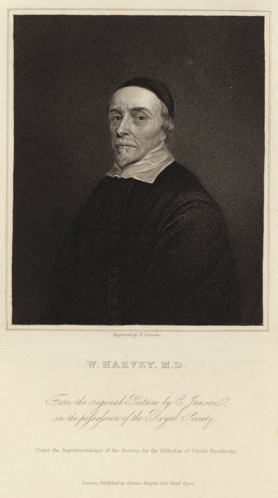 William Harvey tekijältä Cornelius Janssen van Ceulen