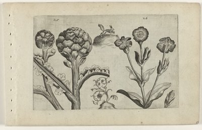 Artisjok en prikneus Tunne liljat (sarjan nimi) tekijältä Crispijn van de Passe (I) (attributed to)
