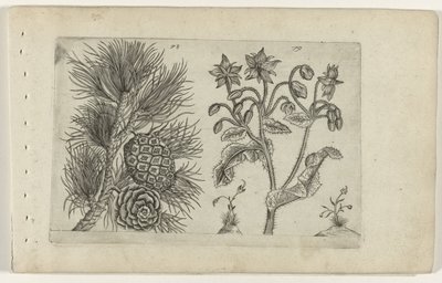 Grove den en bernagie Tunne liljat (sarjan nimi) tekijältä Crispijn van de Passe (I) (attributed to)