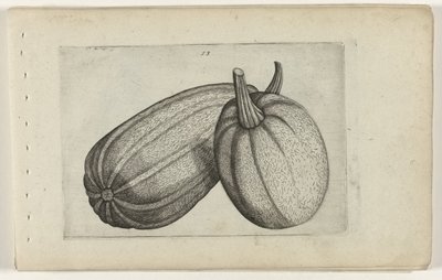 Kaksi melonia Tunne liljat (sarjan nimi) tekijältä Crispijn van de Passe (I) (attributed to)